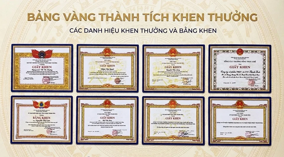 Bảng vàng thành tích và bằng khen của Tramexco qua các thời kỳ